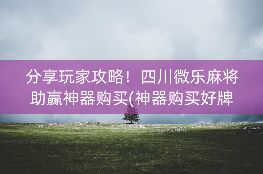 分享玩家攻略！四川微乐麻将助赢神器购买(神器购买好牌规律)