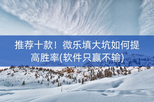 推荐十款！微乐填大坑如何提高胜率(软件只赢不输)