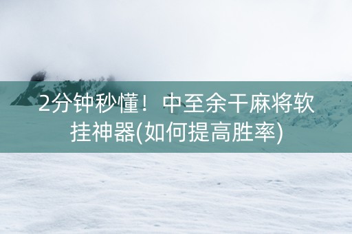 2分钟秒懂！中至余干麻将软挂神器(如何提高胜率)