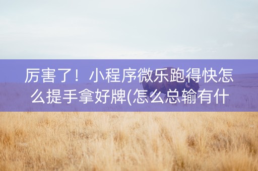 厉害了！小程序微乐跑得快怎么提手拿好牌(怎么总输有什么猫腻)