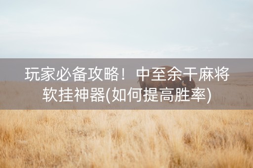 玩家必备攻略！中至余干麻将软挂神器(如何提高胜率)