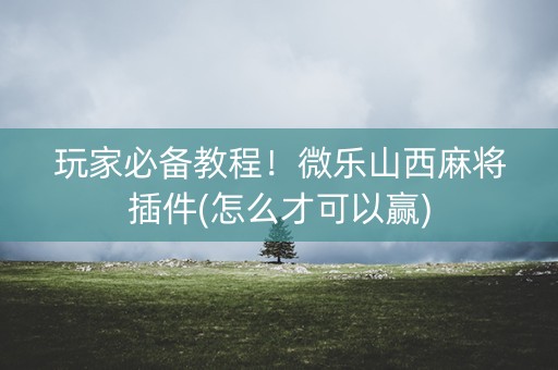 玩家必备教程！微乐山西麻将插件(怎么才可以赢)