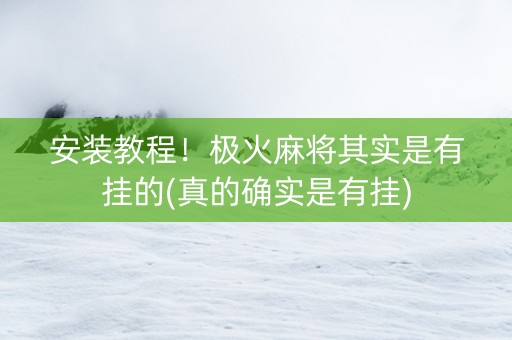 安装教程！极火麻将其实是有挂的(真的确实是有挂)