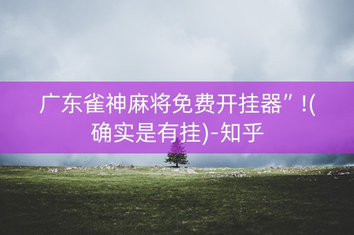 广东雀神麻将免费开挂器”!(确实是有挂)-知乎