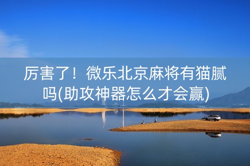 厉害了！微乐北京麻将有猫腻吗(助攻神器怎么才会赢)