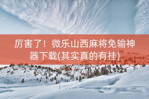 厉害了！微乐山西麻将免输神器下载(其实真的有挂)