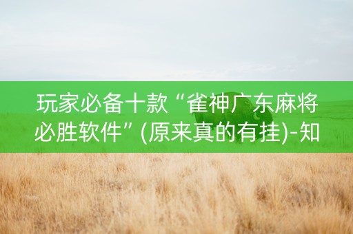 玩家必备十款“雀神广东麻将必胜软件”(原来真的有挂)-知乎