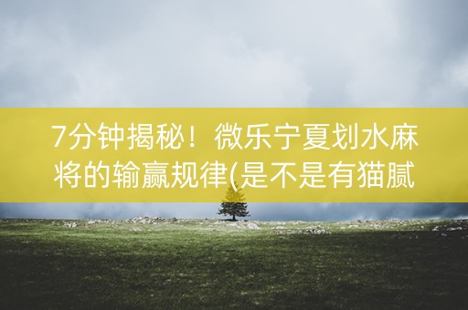 7分钟揭秘！微乐宁夏划水麻将的输赢规律(是不是有猫腻)