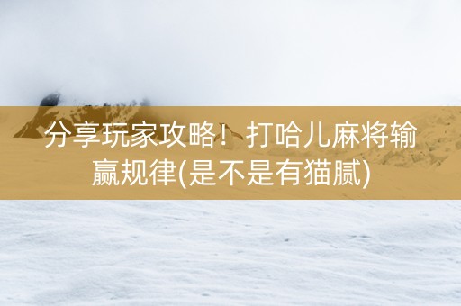 分享玩家攻略！打哈儿麻将输赢规律(是不是有猫腻)