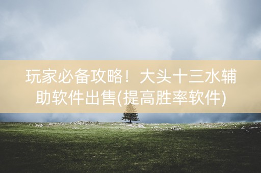 玩家必备攻略！大头十三水辅助软件出售(提高胜率软件)