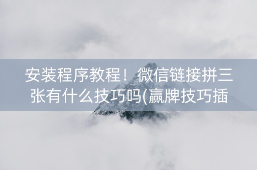 安装程序教程！微信链接拼三张有什么技巧吗(赢牌技巧插件安装)