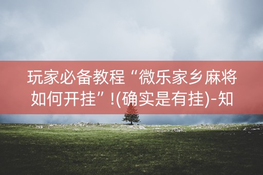 玩家必备教程“微乐家乡麻将如何开挂”!(确实是有挂)-知乎