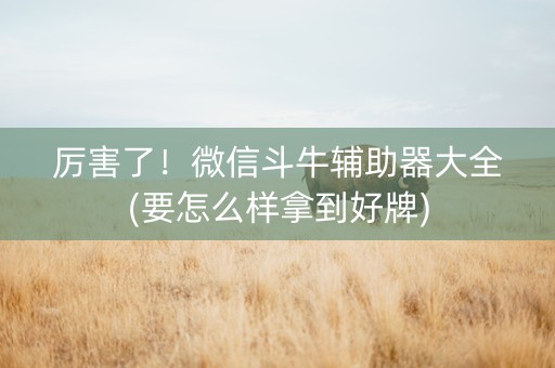 厉害了！微信斗牛辅助器大全(要怎么样拿到好牌)