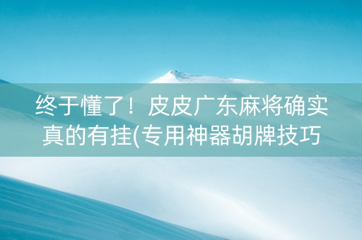 终于懂了！皮皮广东麻将确实真的有挂(专用神器胡牌技巧)