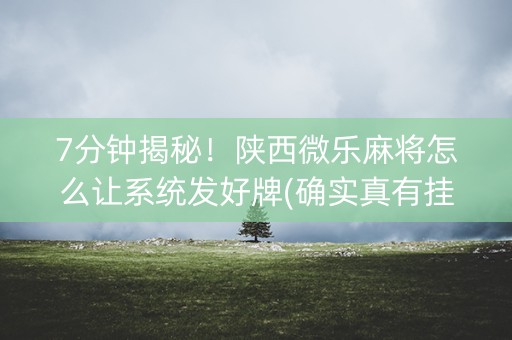 7分钟揭秘！陕西微乐麻将怎么让系统发好牌(确实真有挂)