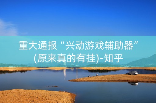 重大通报“兴动游戏辅助器”(原来真的有挂)-知乎