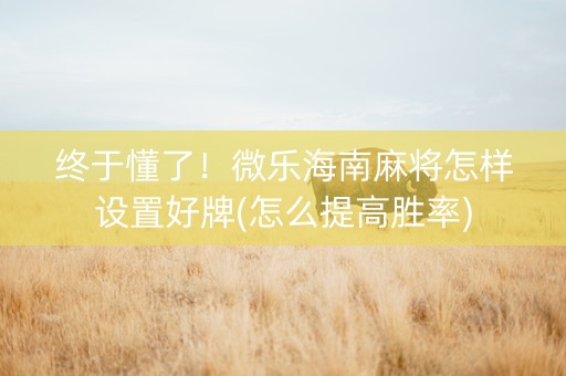 终于懂了！微乐海南麻将怎样设置好牌(怎么提高胜率)