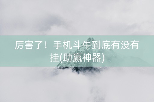 厉害了！手机斗牛到底有没有挂(助赢神器)