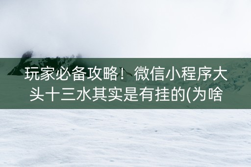 玩家必备攻略！微信小程序大头十三水其实是有挂的(为啥我总是输)