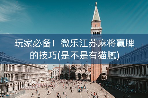 玩家必备！微乐江苏麻将赢牌的技巧(是不是有猫腻)