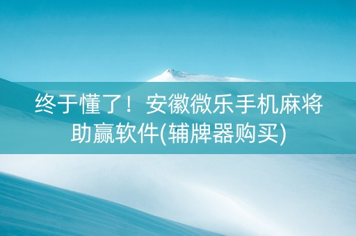终于懂了！安徽微乐手机麻将助赢软件(辅牌器购买)