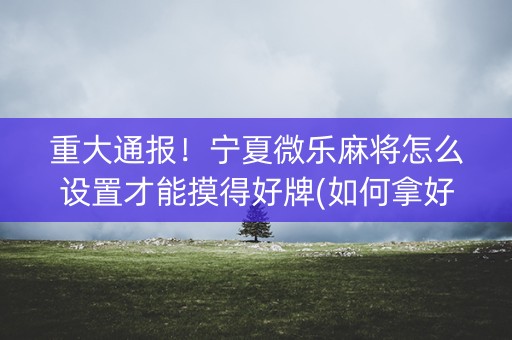 重大通报！宁夏微乐麻将怎么设置才能摸得好牌(如何拿好牌)