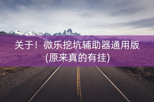 关于！微乐挖坑辅助器通用版(原来真的有挂)