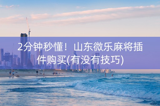 2分钟秒懂！山东微乐麻将插件购买(有没有技巧)