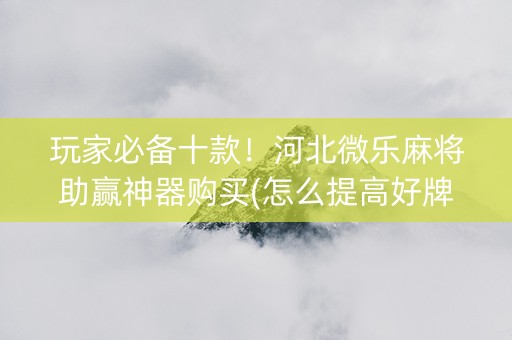 玩家必备十款！河北微乐麻将助赢神器购买(怎么提高好牌几率)