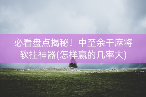 必看盘点揭秘！中至余干麻将软挂神器(怎样赢的几率大)