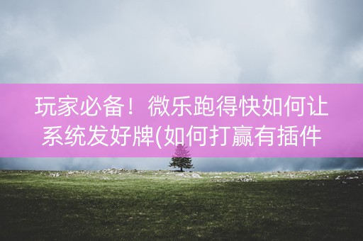 玩家必备！微乐跑得快如何让系统发好牌(如何打赢有插件吗)