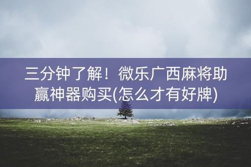 三分钟了解！微乐广西麻将助赢神器购买(怎么才有好牌)