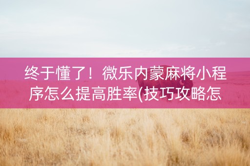 终于懂了！微乐内蒙麻将小程序怎么提高胜率(技巧攻略怎样拿好牌)