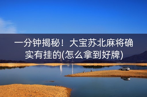 一分钟揭秘！大宝苏北麻将确实有挂的(怎么拿到好牌)