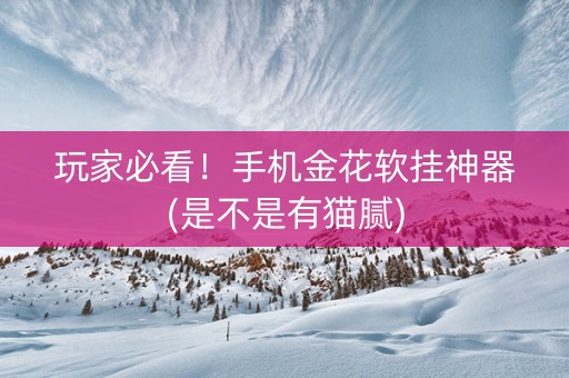 玩家必看！手机金花软挂神器(是不是有猫腻)