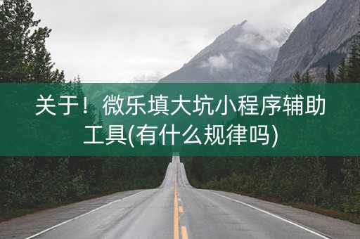 关于！微乐填大坑小程序辅助工具(有什么规律吗)