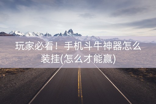 玩家必看！手机斗牛神器怎么装挂(怎么才能赢)