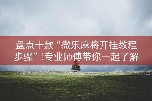 盘点十款“微乐麻将开挂教程步骤”!专业师傅带你一起了解（详细教程）-知乎