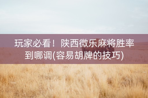 玩家必看！陕西微乐麻将胜率到哪调(容易胡牌的技巧)