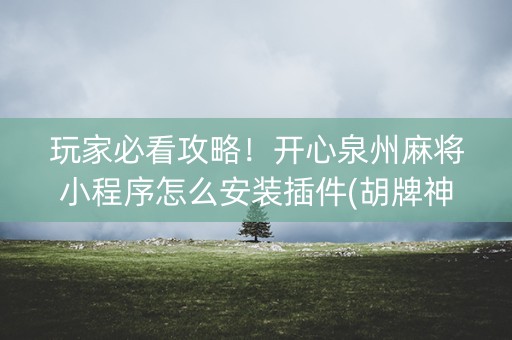 玩家必看攻略！开心泉州麻将小程序怎么安装插件(胡牌神器有猫腻吗)
