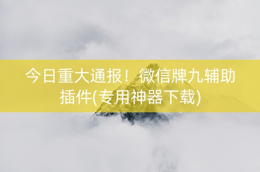 今日重大通报！微信牌九辅助插件(专用神器下载)