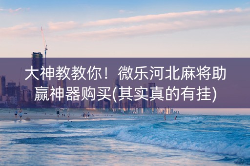 大神教教你！微乐河北麻将助赢神器购买(其实真的有挂)