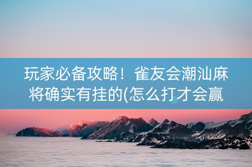 玩家必备攻略！雀友会潮汕麻将确实有挂的(怎么打才会赢)