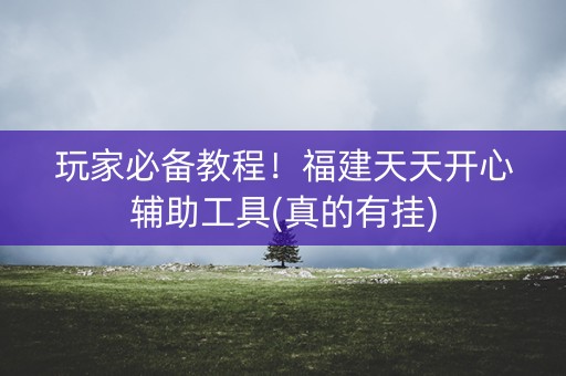 玩家必备教程！福建天天开心辅助工具(真的有挂)