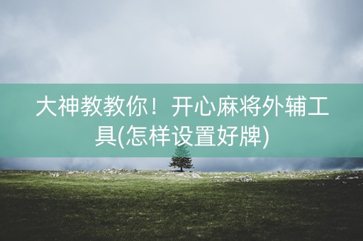 大神教教你！开心麻将外辅工具(怎样设置好牌)