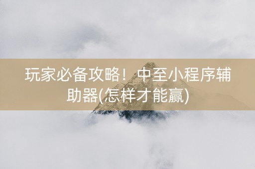 玩家必备攻略！中至小程序辅助器(怎样才能赢)