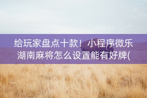 给玩家盘点十款！小程序微乐湖南麻将怎么设置能有好牌(怎么设置才能赢)