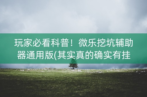 玩家必看科普！微乐挖坑辅助器通用版(其实真的确实有挂)