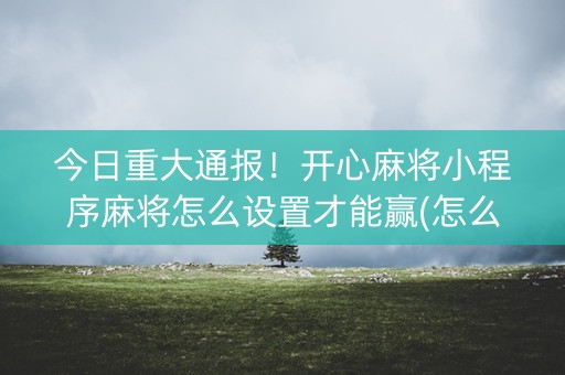 今日重大通报！开心麻将小程序麻将怎么设置才能赢(怎么让牌更好)