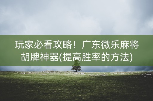 玩家必看攻略！广东微乐麻将胡牌神器(提高胜率的方法)